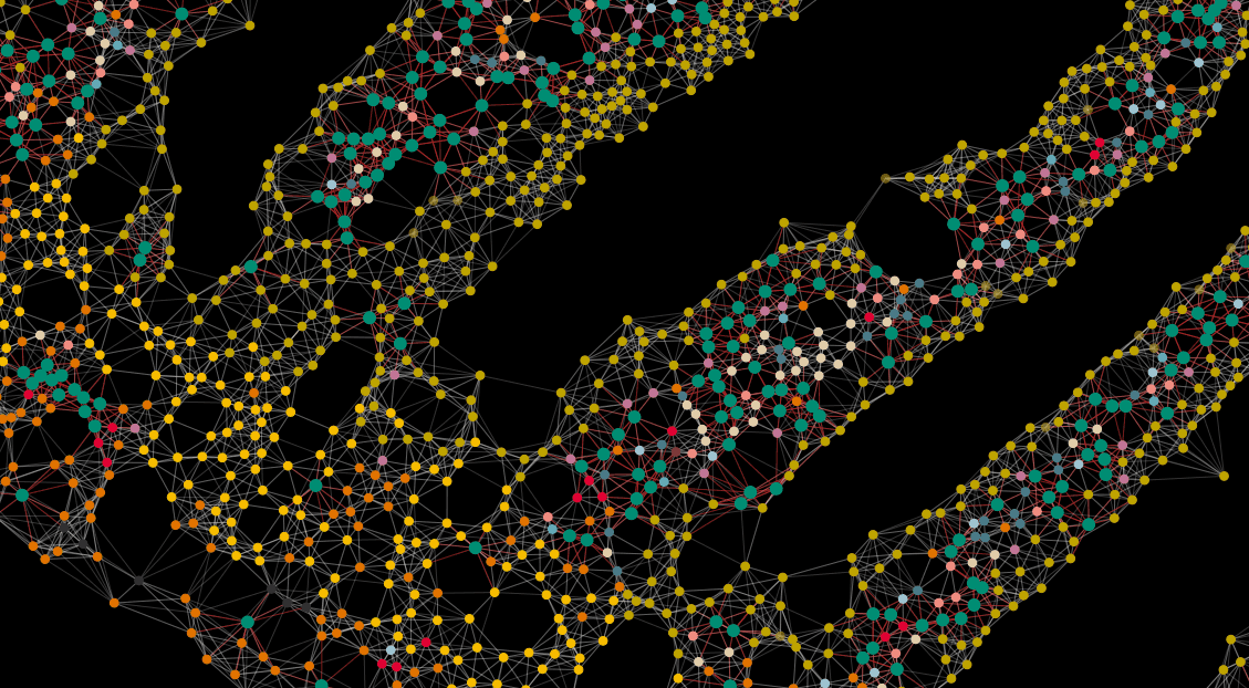 Cells in the small intestine connected to their nearest neighbors.