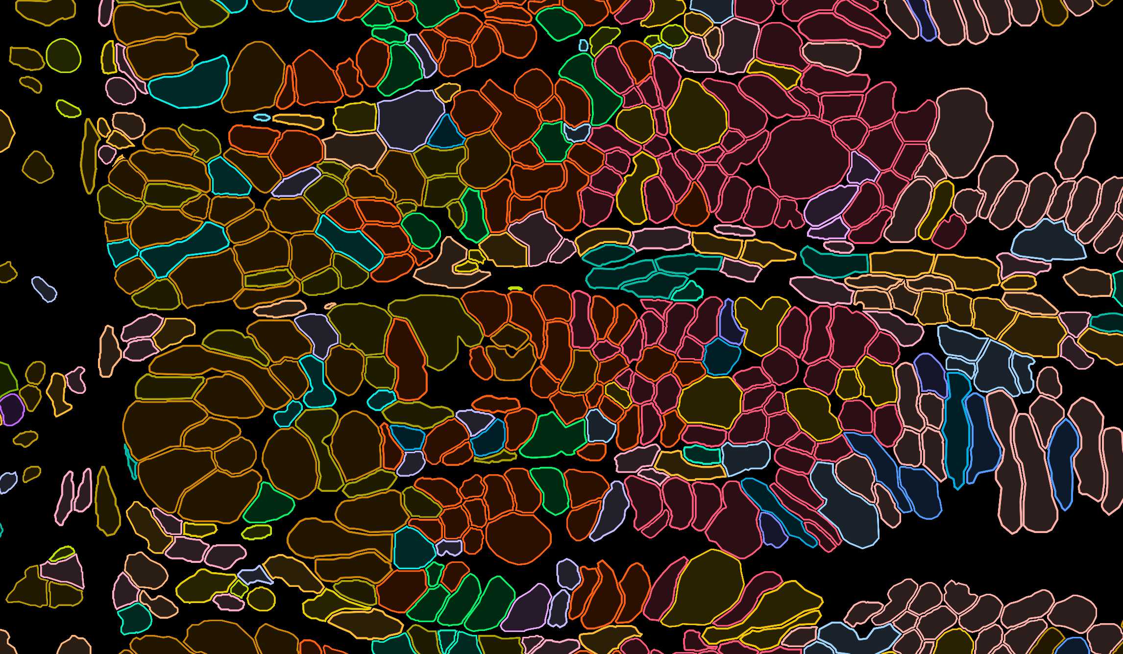 Outlines of the cell shares