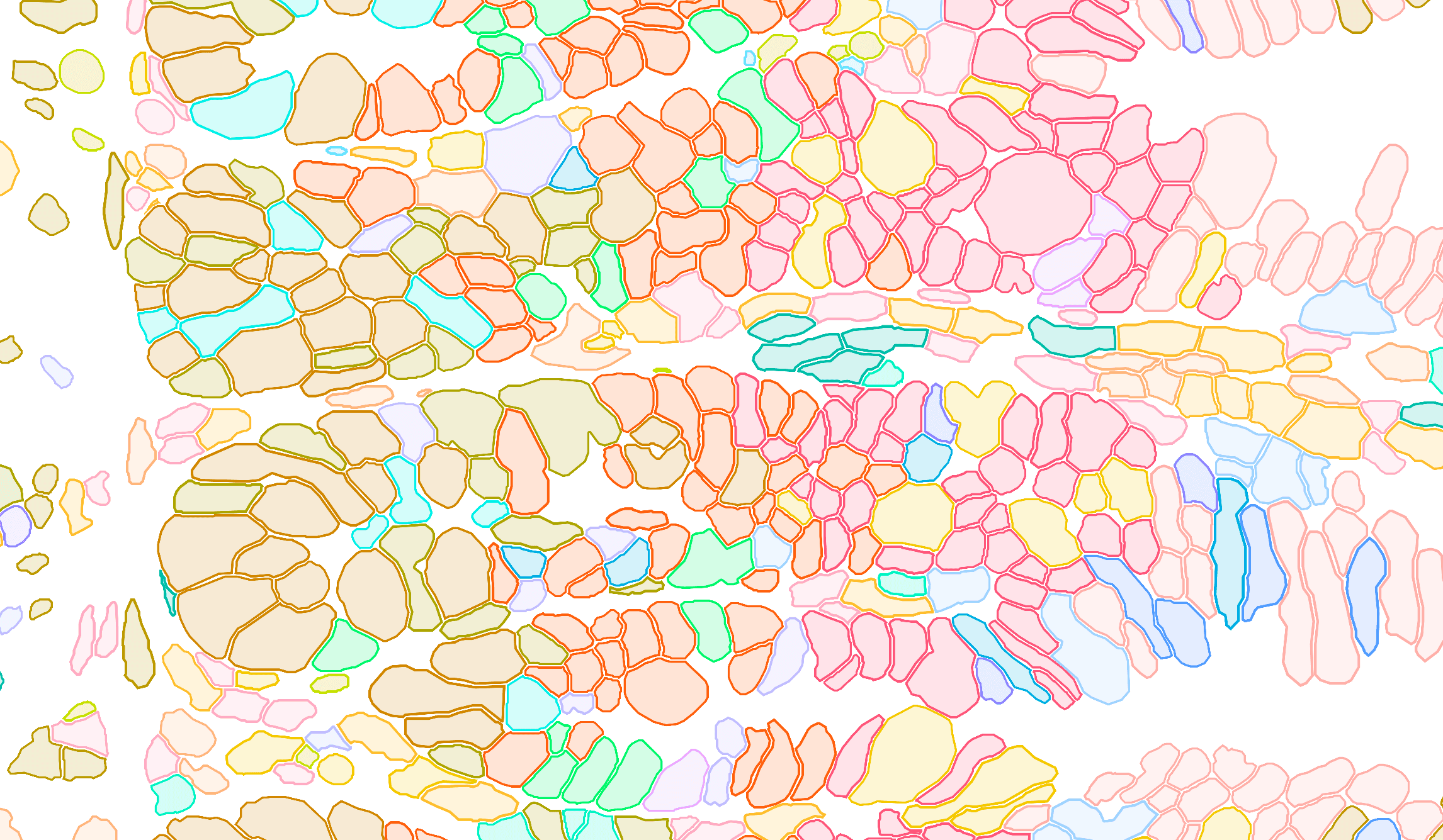 Outlines of the cell shares